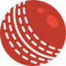 Cricket Ball